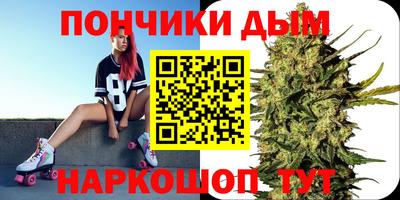 гидра Кингисепп