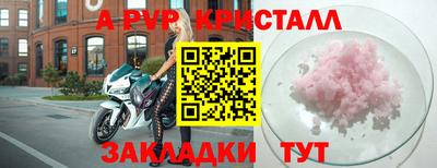 гидра Кингисепп